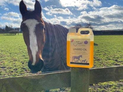 Just Linseed Oil - Natural Pet Supplement - British Cold Pressed Extra Virgin Linseed (Flaxseed) Oil 1.75 Litre