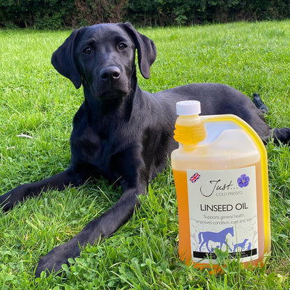 Just Linseed Oil - Natural Pet Supplement - British Cold Pressed Extra Virgin Linseed (Flaxseed) Oil 1 Litre